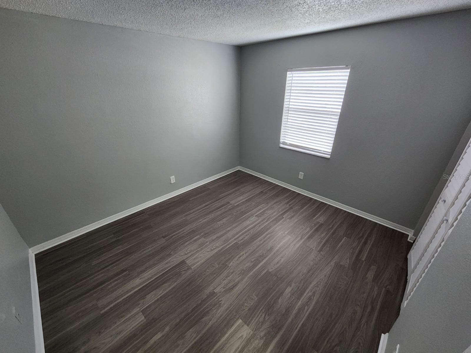 9530 Lynn Lane #B Seminole FL 33777 TB8508638 image9