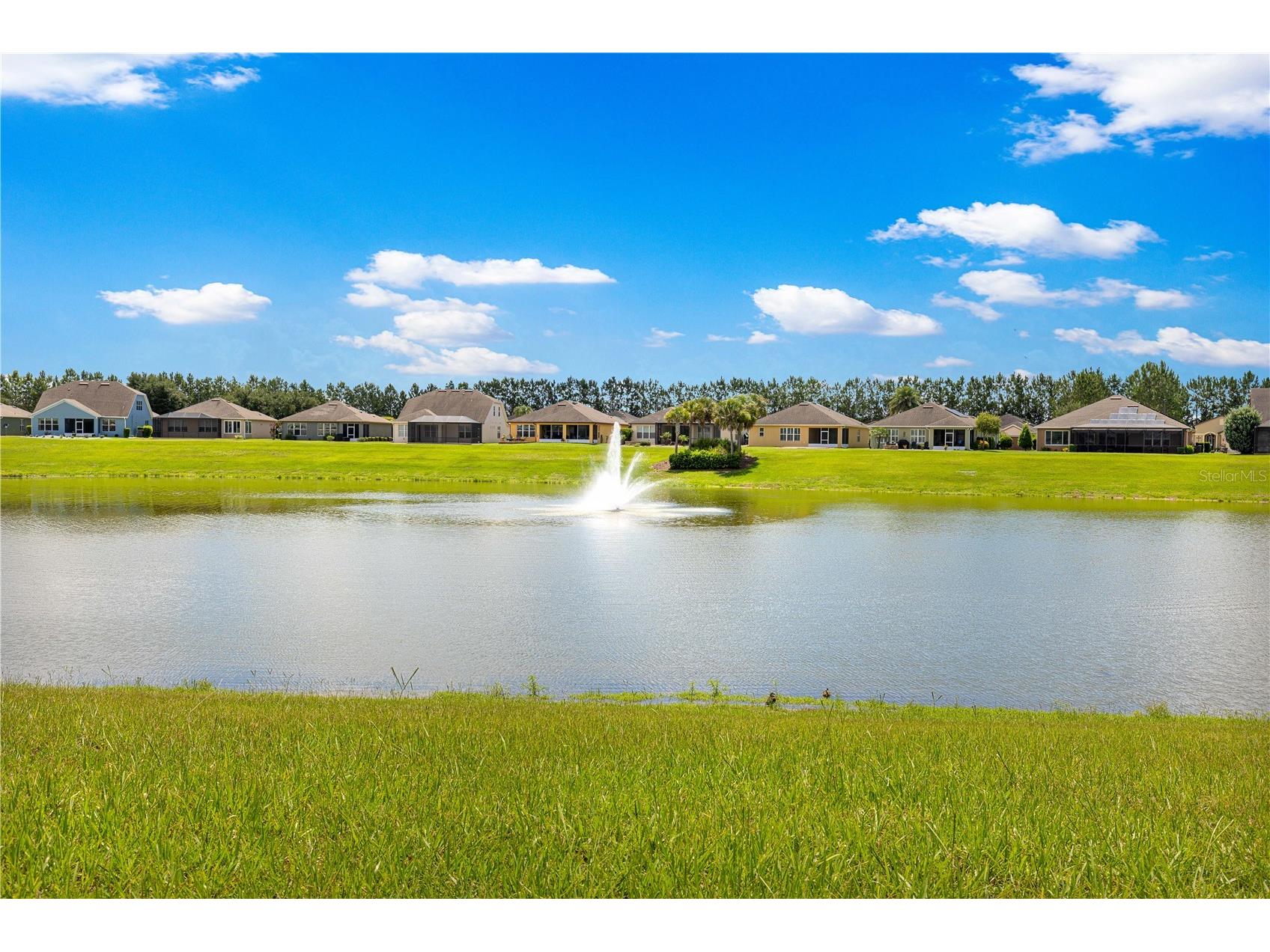 9530 SW 70th Loop Ocala FL 34481 OM727877 image34