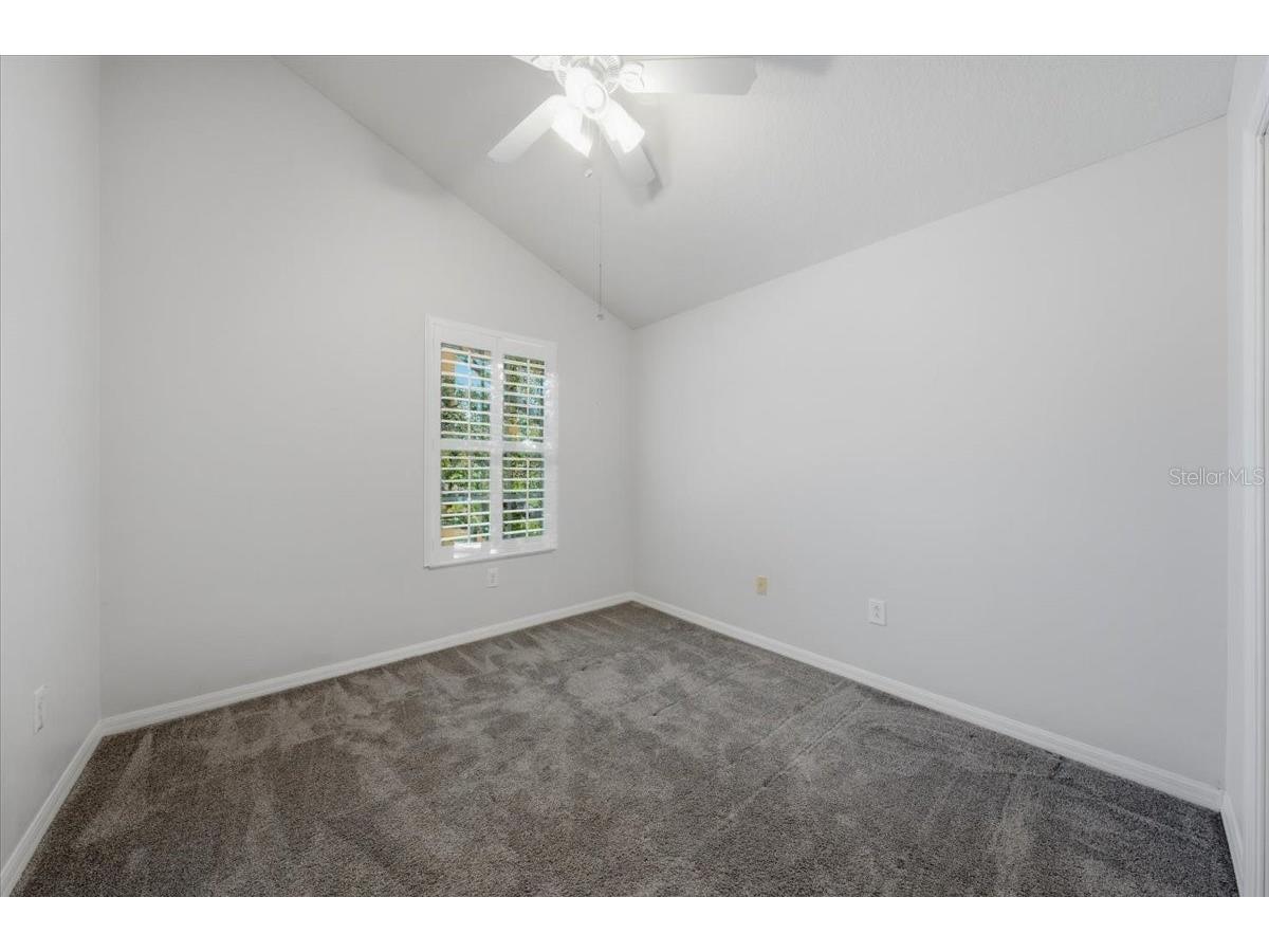 9530 W Park Village Drive Tampa FL 33626 TB8521413 image16