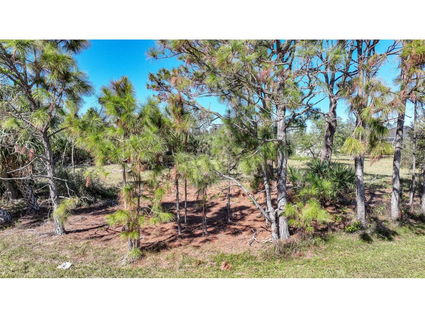 9531 & 9551 Horace Circle Port Charlotte FL 33981 D6139166 image5