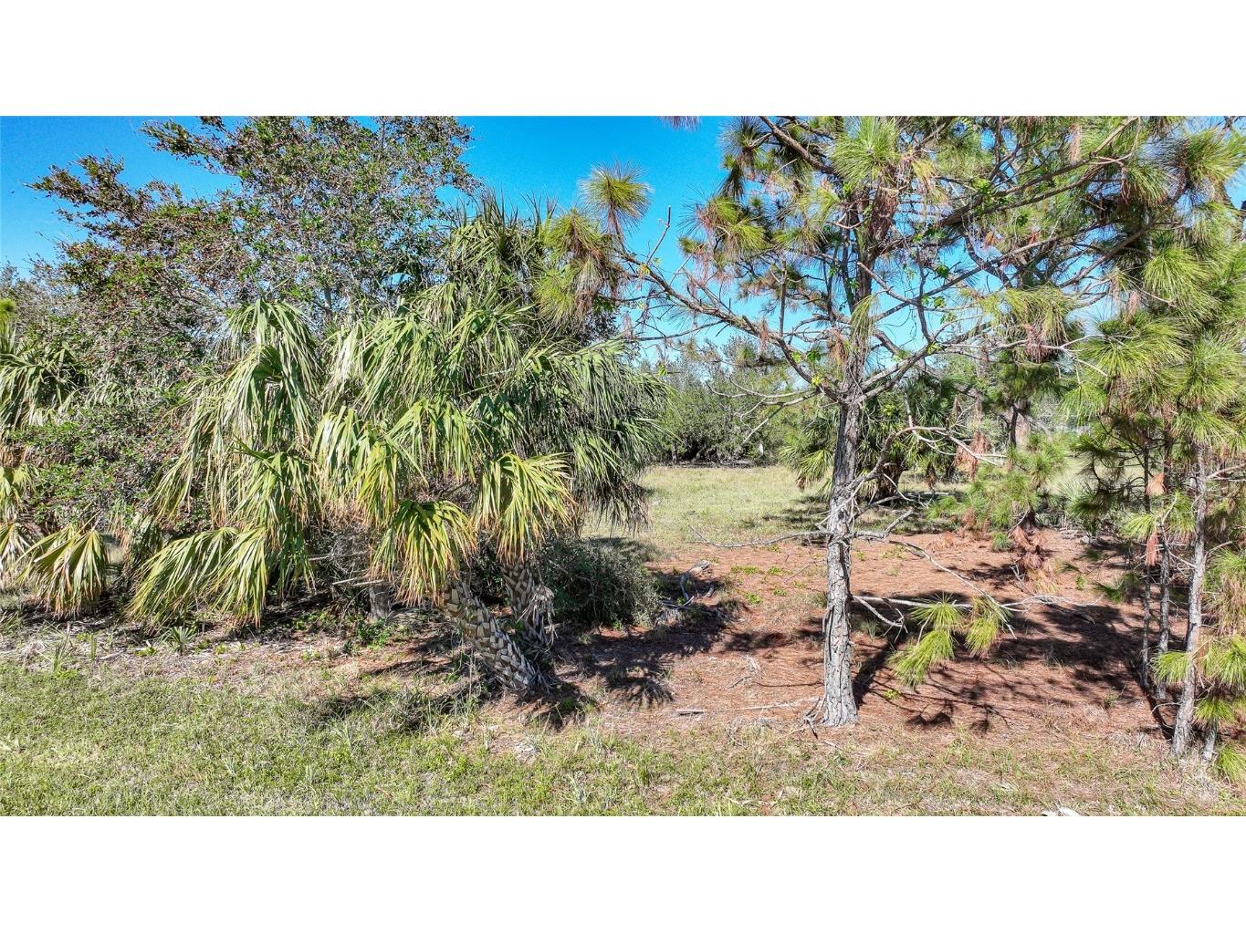 9531 & 9551 Horace Circle Port Charlotte FL 33981 D6139166 image6