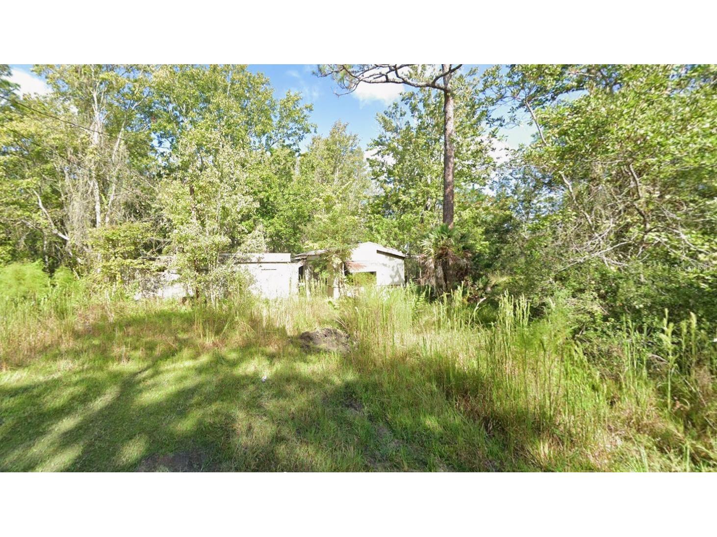 9531 Ellis Street New Port Richey FL 34654 W7883332 image1