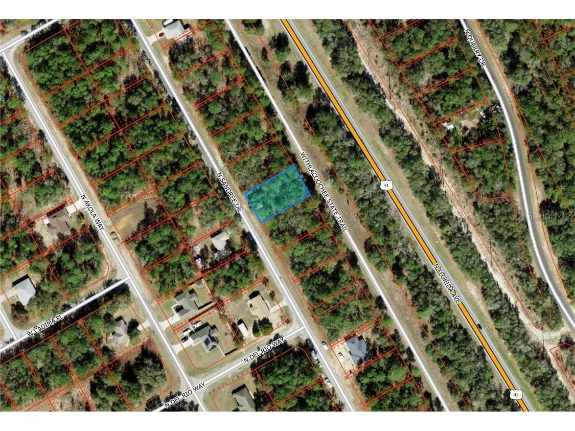 9531 N Sandree Drive Citrus Springs FL 34434 N6138562 image1