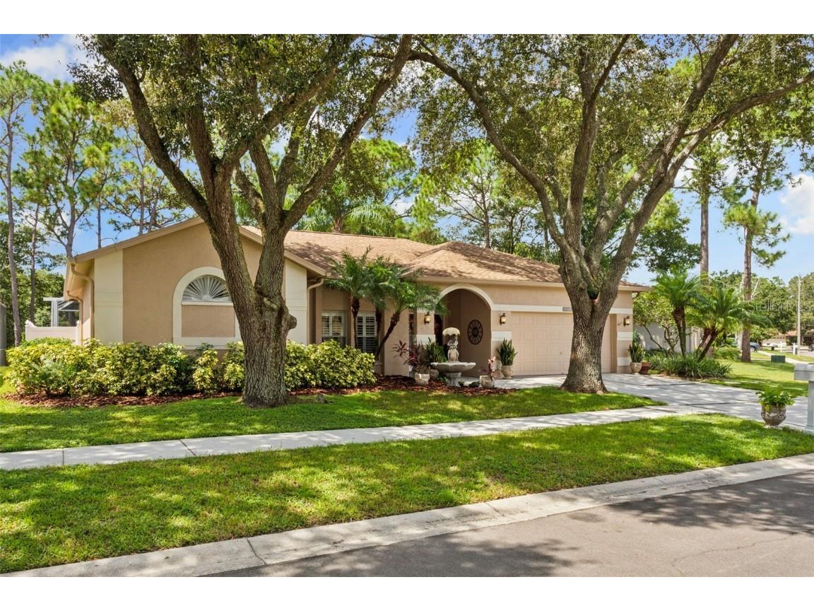 9531 Norchester Circle Tampa FL 33647 TB8303203 image1