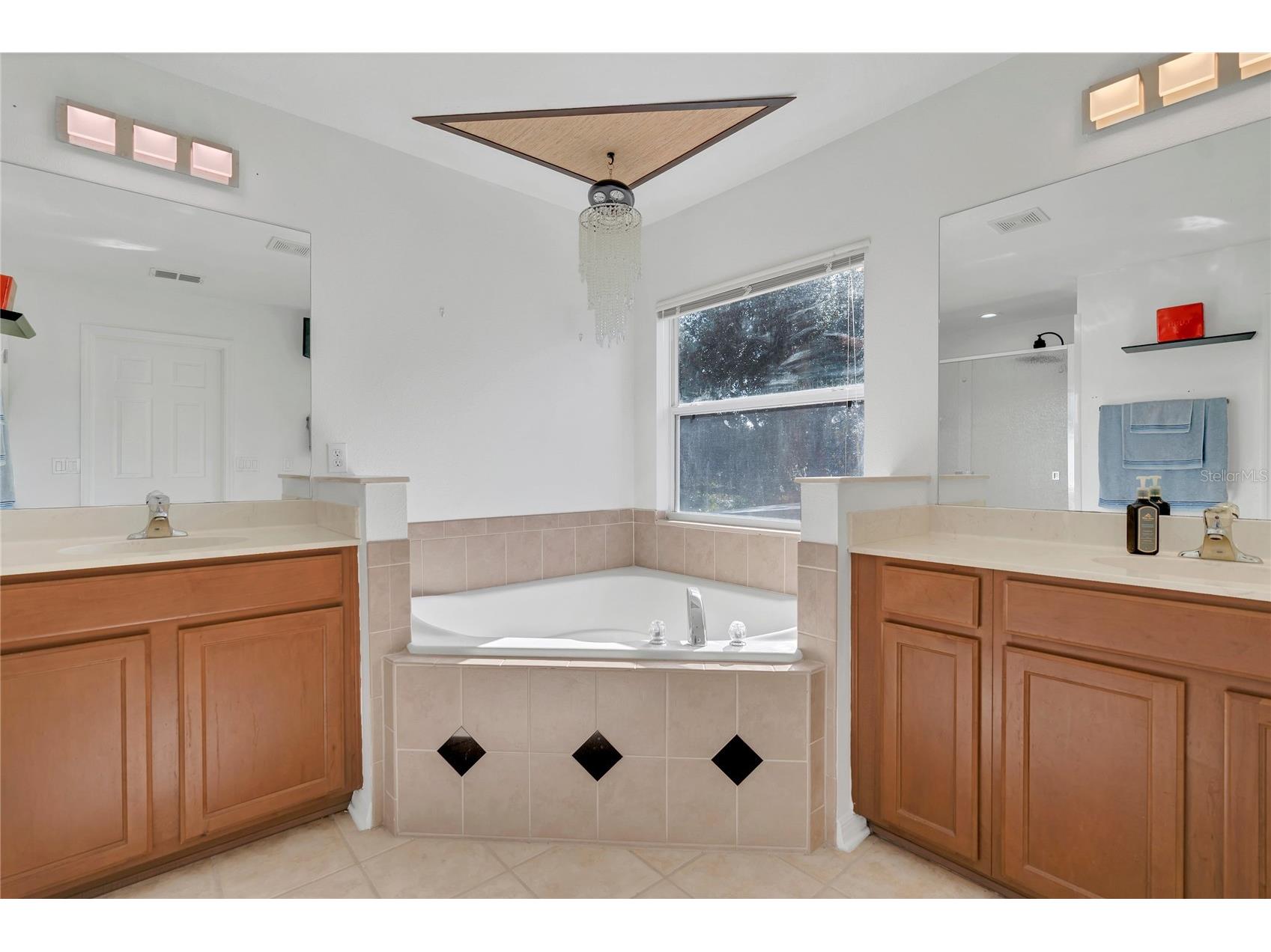 9531 Osprey Landing Drive Orlando FL 32832 O6372096 image43