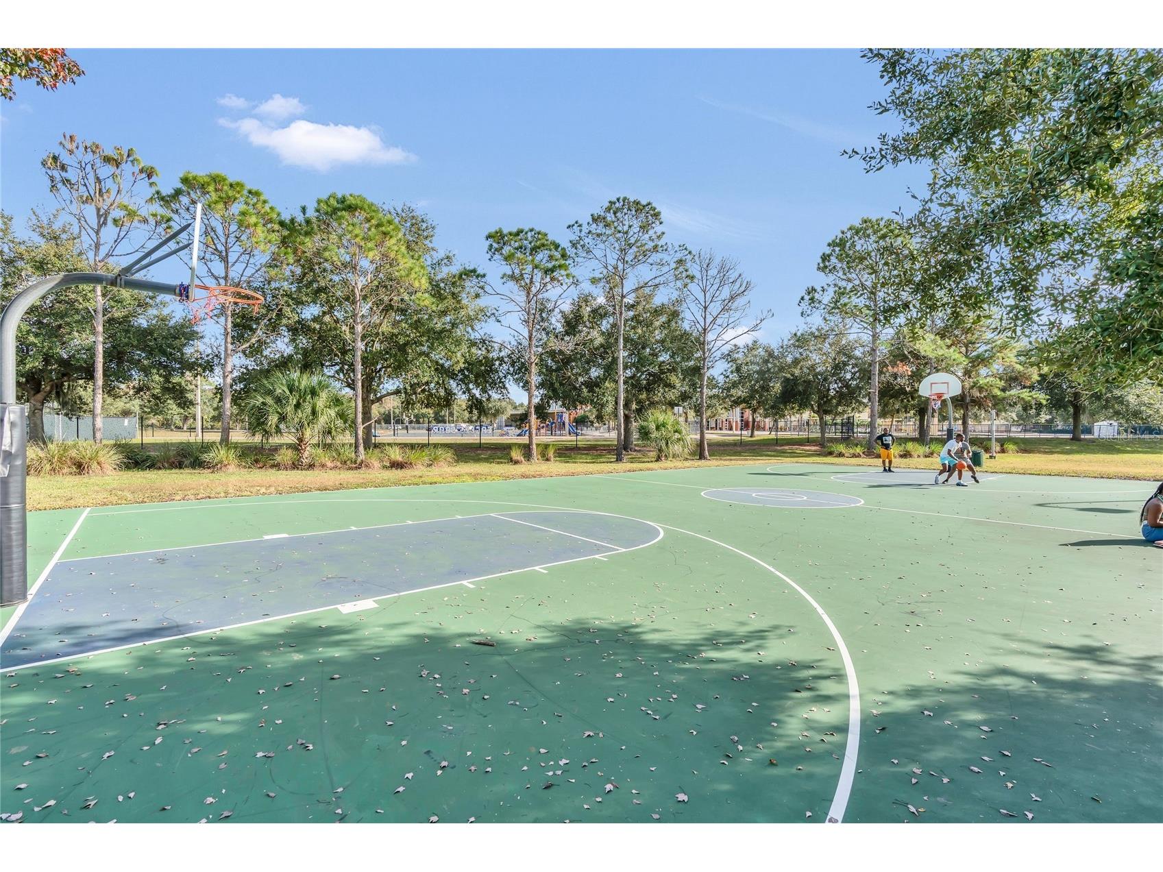 9531 Osprey Landing Drive Orlando FL 32832 O6372096 image60