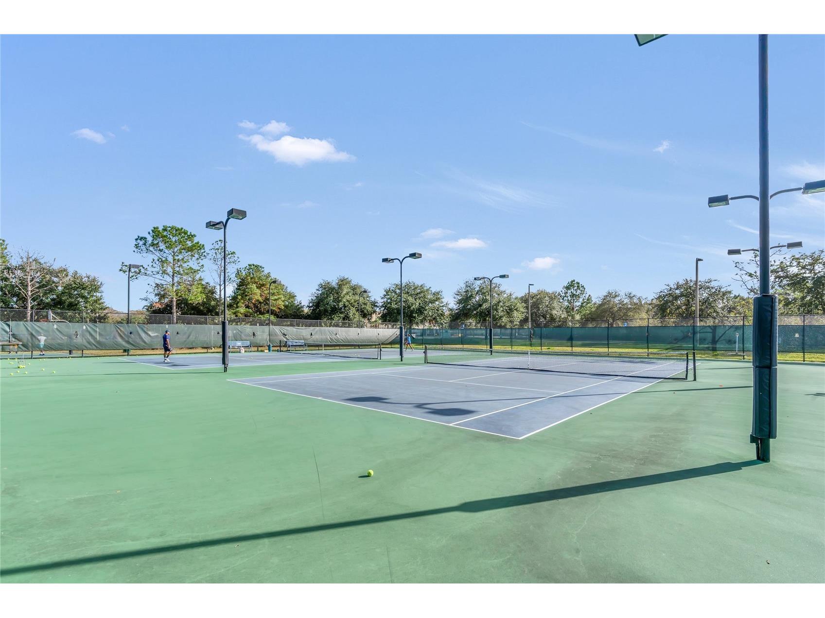 9531 Osprey Landing Drive Orlando FL 32832 O6372096 image62