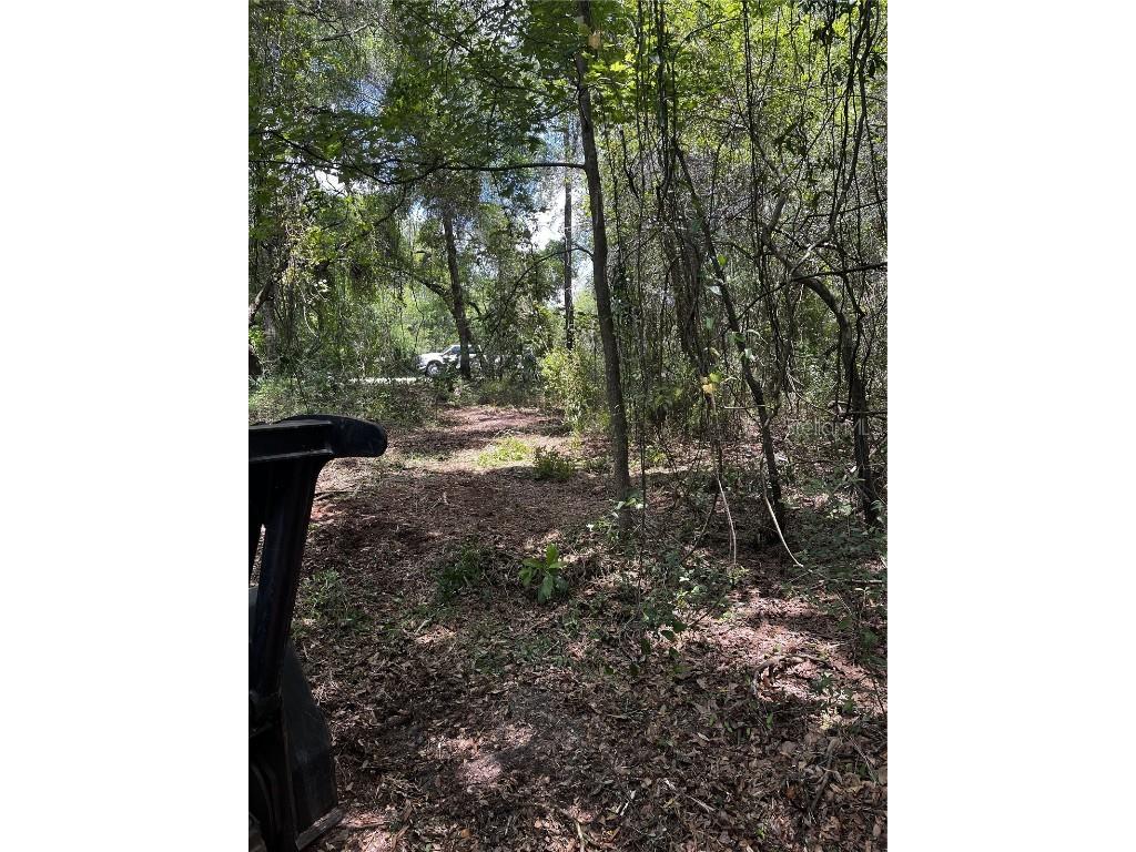 9532 E Peachtree Lane Inverness FL 34453 W7866467 image3