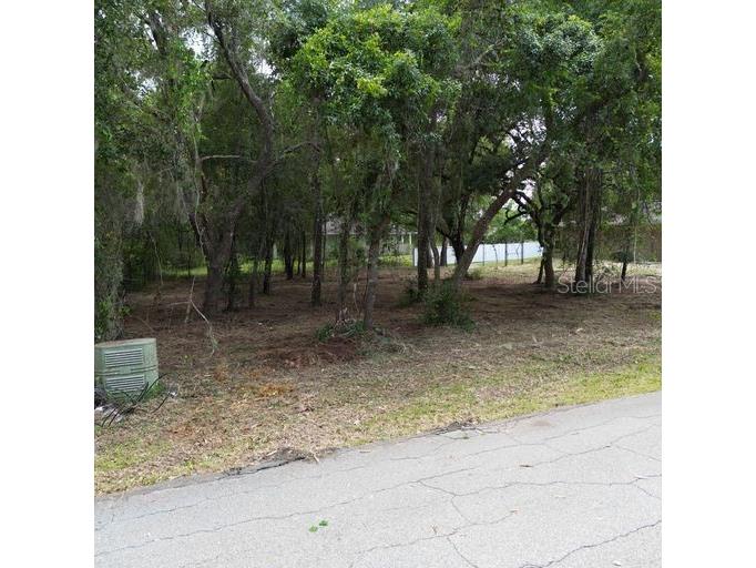 9532 E Peachtree Lane Inverness FL 34453 W7866467 image4