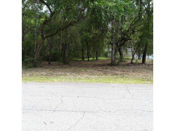 9532 E Peachtree Lane Inverness FL 34453 W7866467 image5