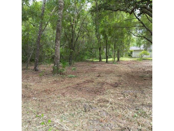 9532 E Peachtree Lane Inverness FL 34453 W7866467 image6