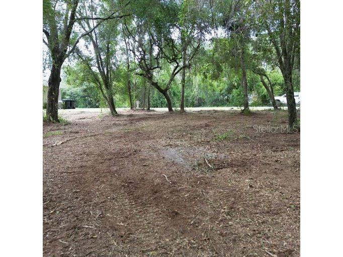 9532 E Peachtree Lane Inverness FL 34453 W7866467 image9