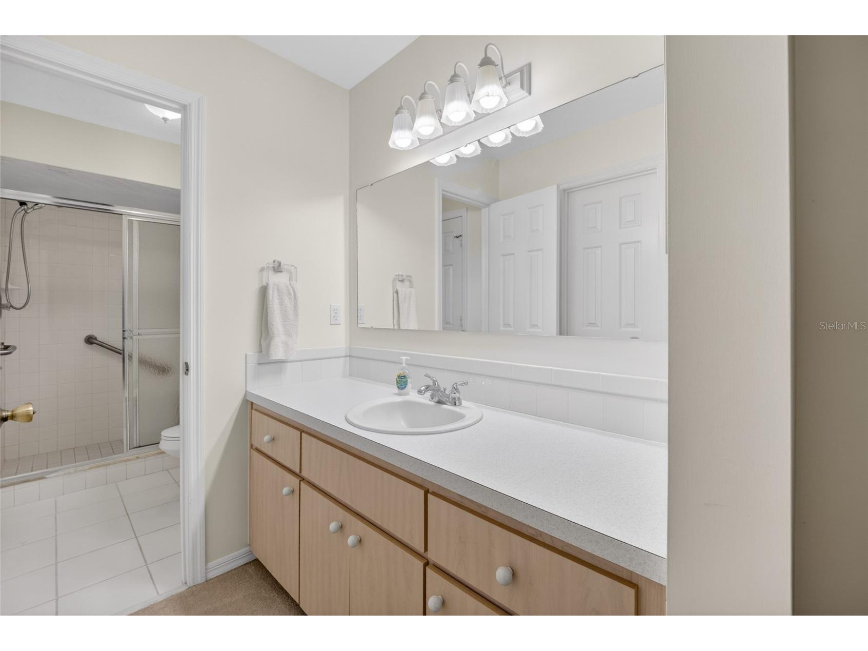 9532 SE 173rd Lane Summerfield FL 34491 OM725266 image14