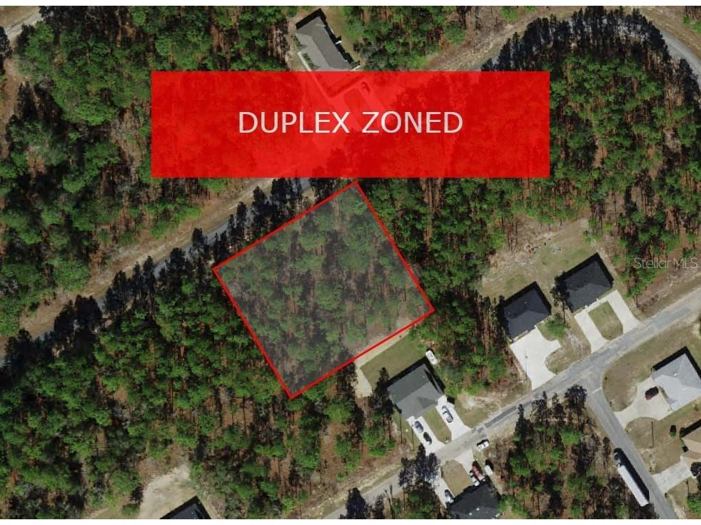 9534 N Travis Drive Citrus Springs FL 34434 A4663616 image1