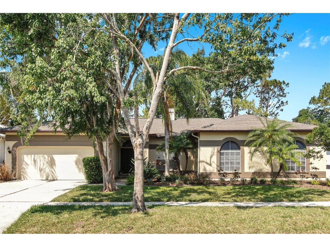 9535 Norchester Circle Tampa FL 33647 TB8383811 image1