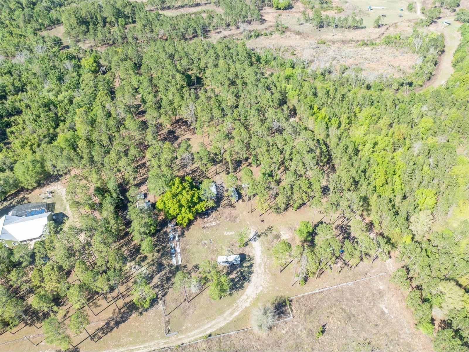 9535 Number Two Road Howey In The Hills FL 34737 G5109843 image10