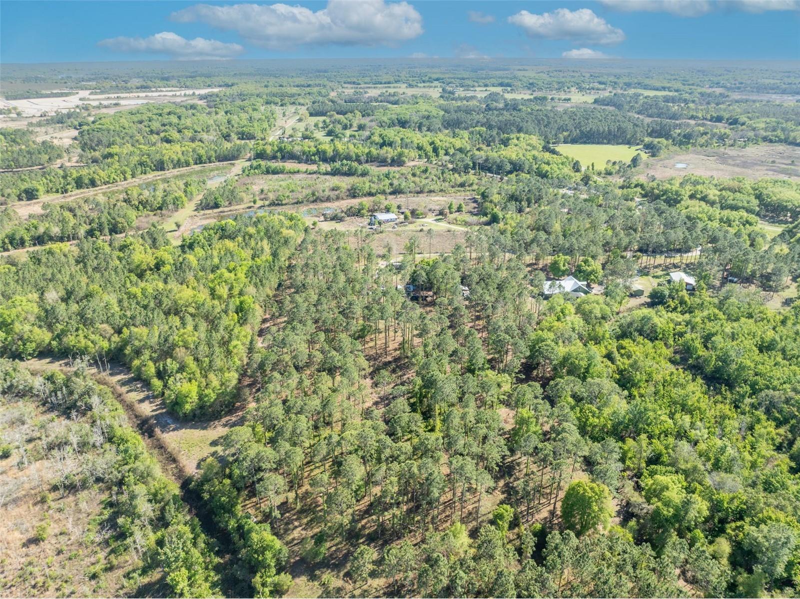 9535 Number Two Road Howey In The Hills FL 34737 G5109843 image11