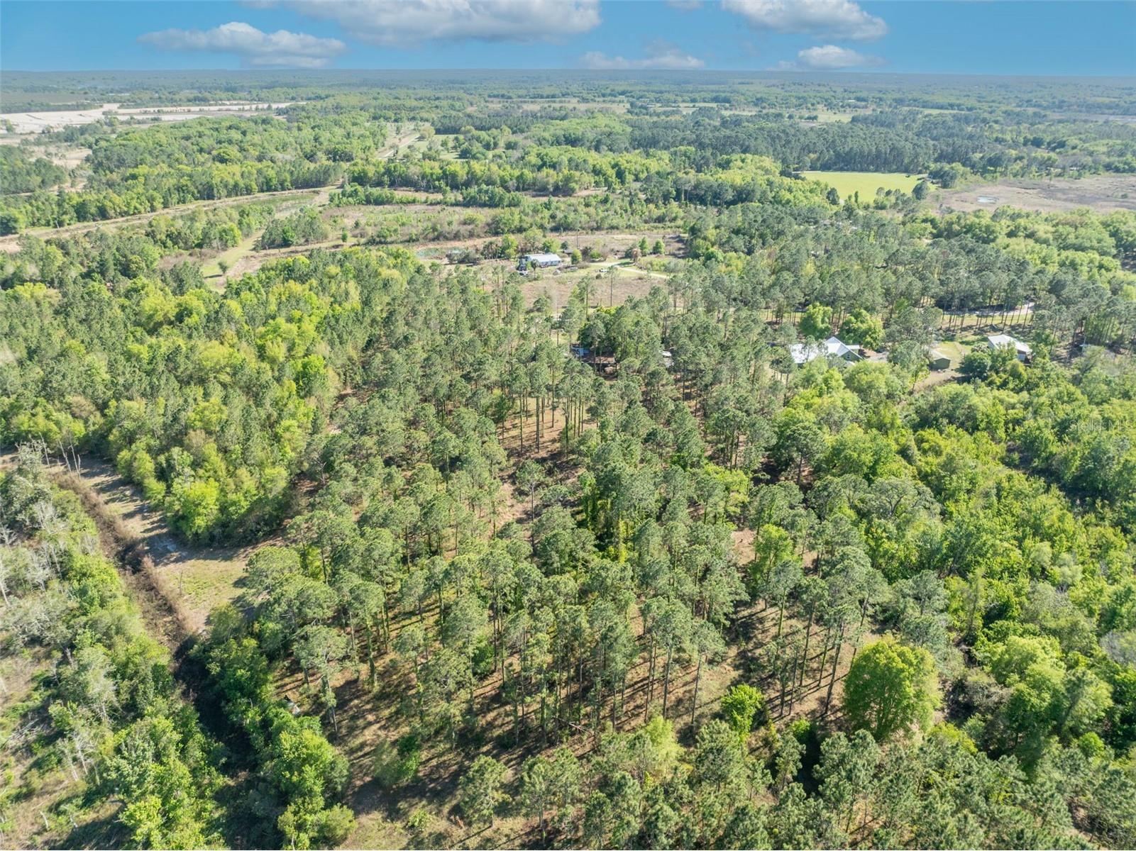 9535 Number Two Road Howey In The Hills FL 34737 G5109843 image12