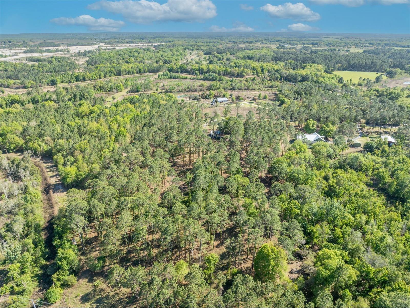 9535 Number Two Road Howey In The Hills FL 34737 G5109843 image13