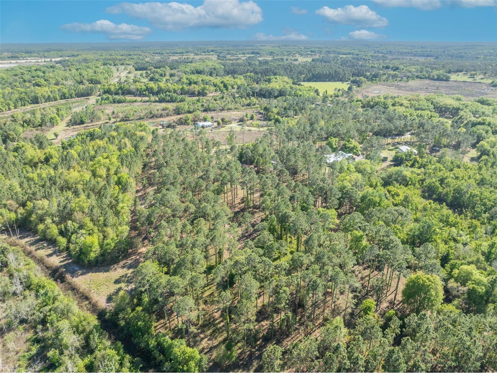 9535 Number Two Road Howey In The Hills FL 34737 G5109843 image14