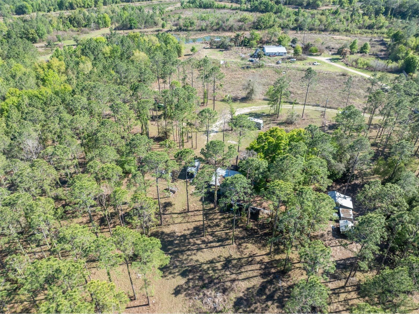 9535 Number Two Road Howey In The Hills FL 34737 G5109843 image2