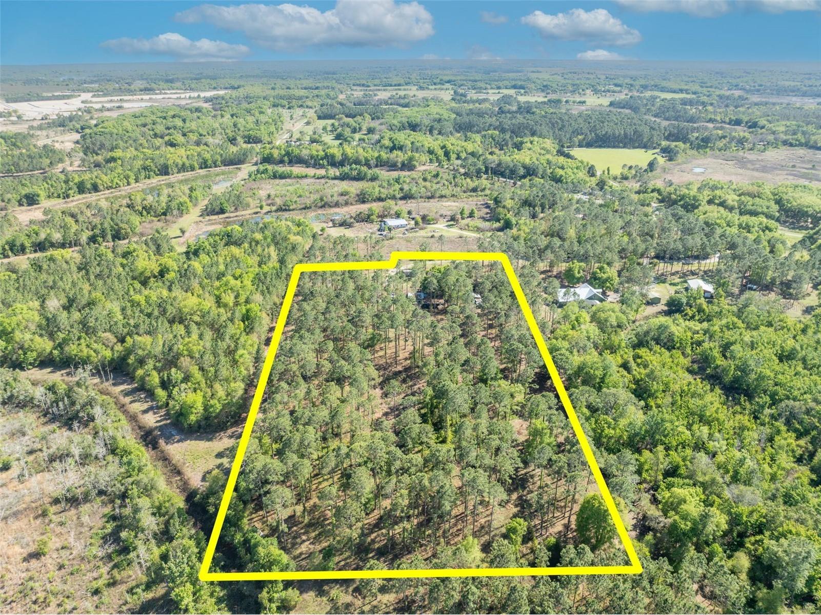 9535 Number Two Road Howey In The Hills FL 34737 G5109843 image6