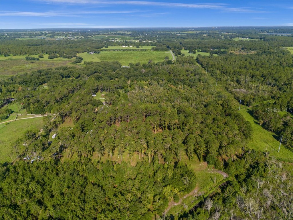 9535 Number Two Road Howey In The Hills FL 34737 U8251623 image11