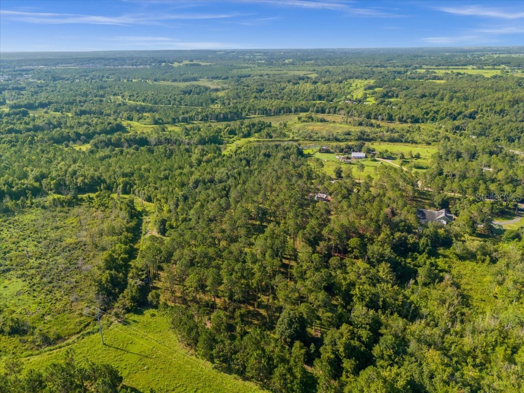 9535 Number Two Road Howey In The Hills FL 34737 U8251623 image14