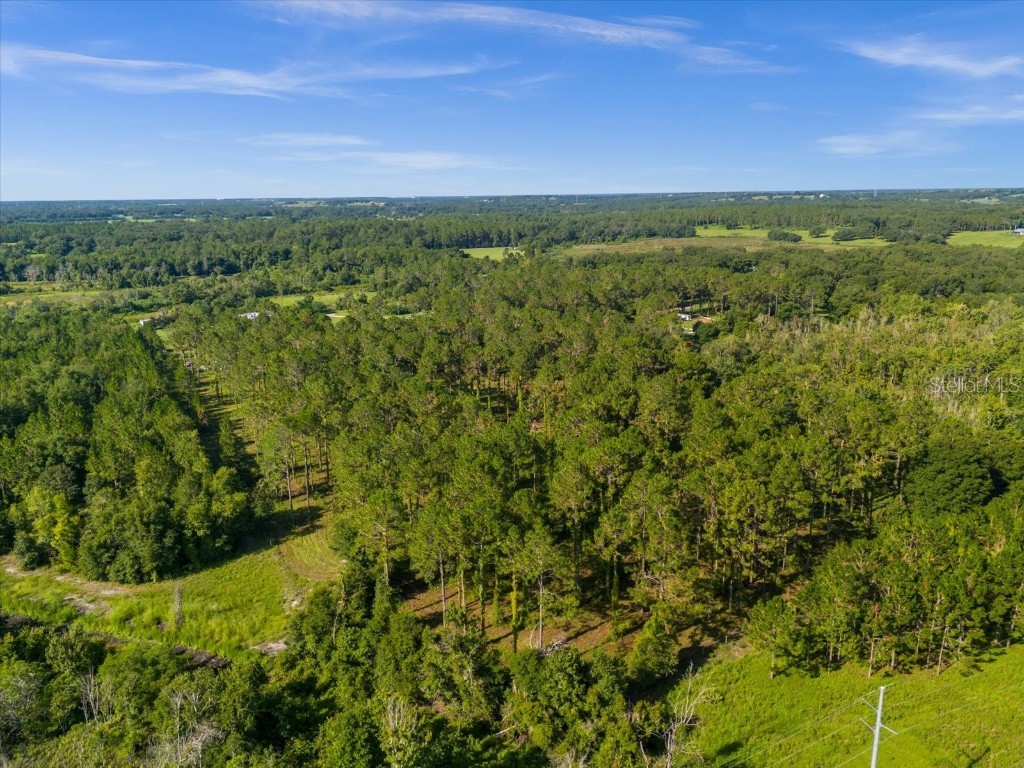 9535 Number Two Road Howey In The Hills FL 34737 U8251623 image19