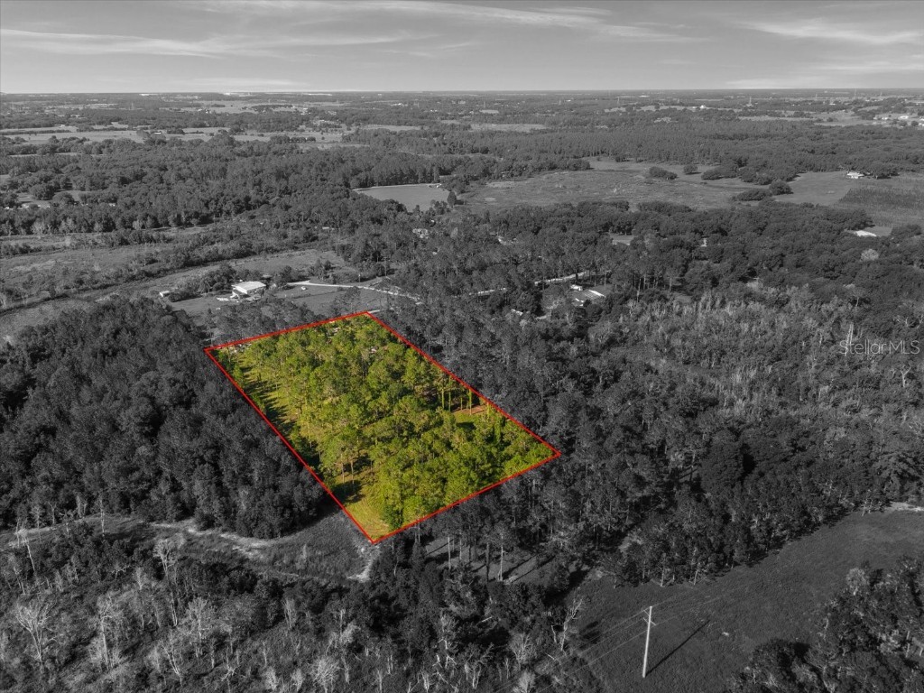 9535 Number Two Road Howey In The Hills FL 34737 U8251623 image2