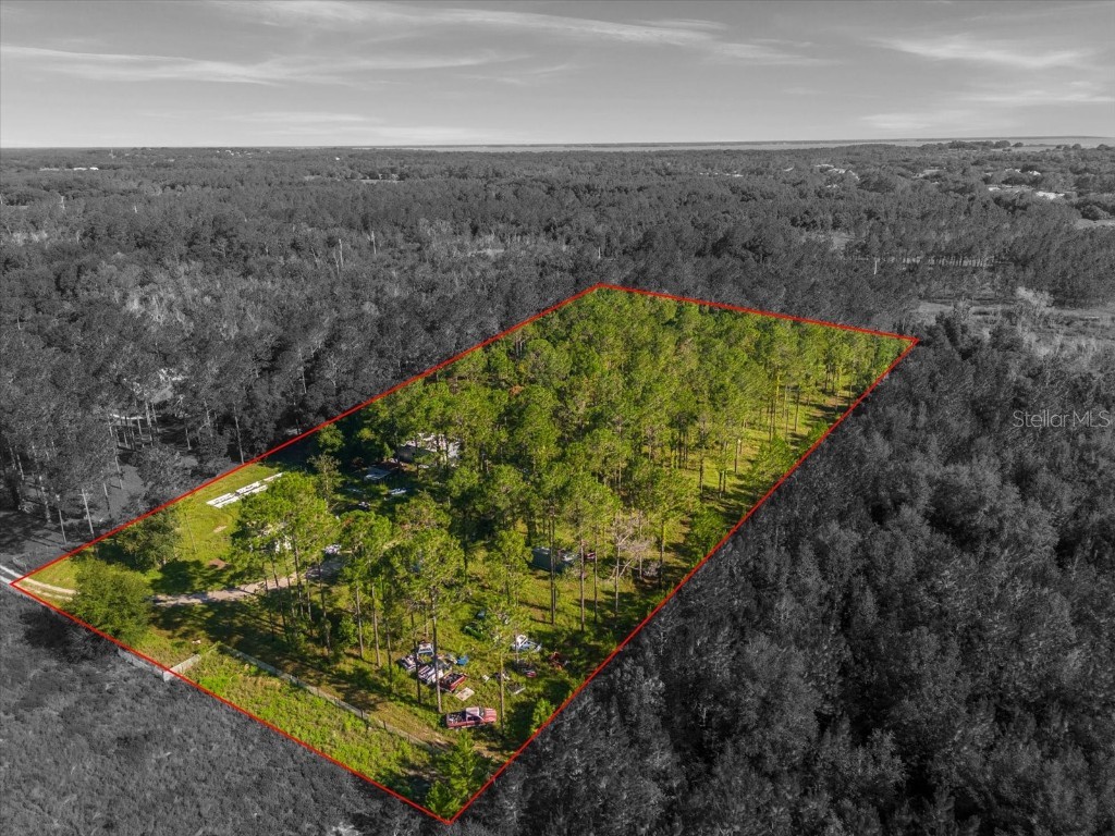 9535 Number Two Road Howey In The Hills FL 34737 U8251623 image3