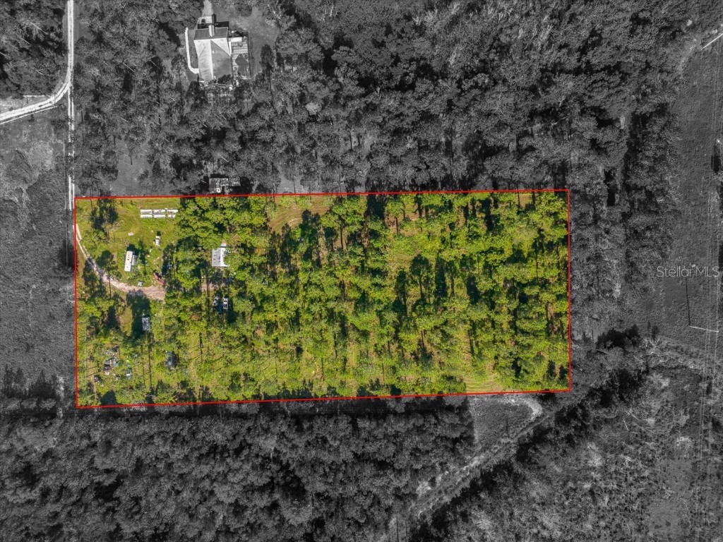 9535 Number Two Road Howey In The Hills FL 34737 U8251623 image4