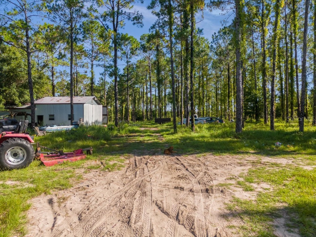 9535 Number Two Road Howey In The Hills FL 34737 U8251623 image6