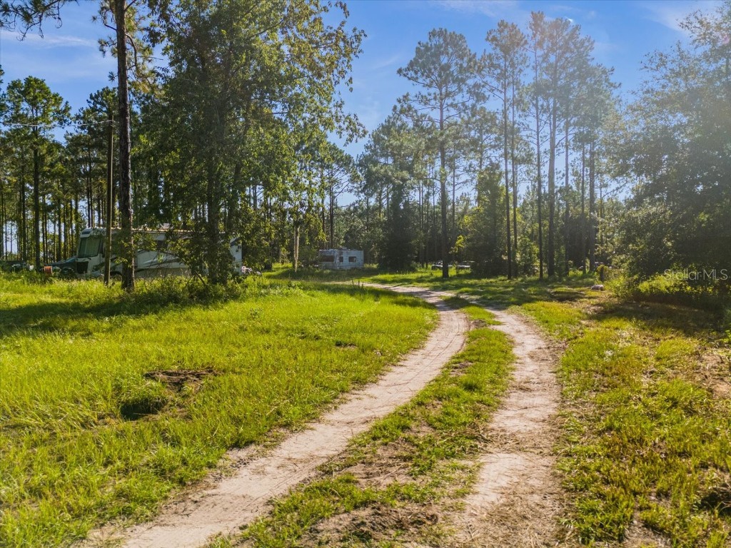 9535 Number Two Road Howey In The Hills FL 34737 U8251623 image7