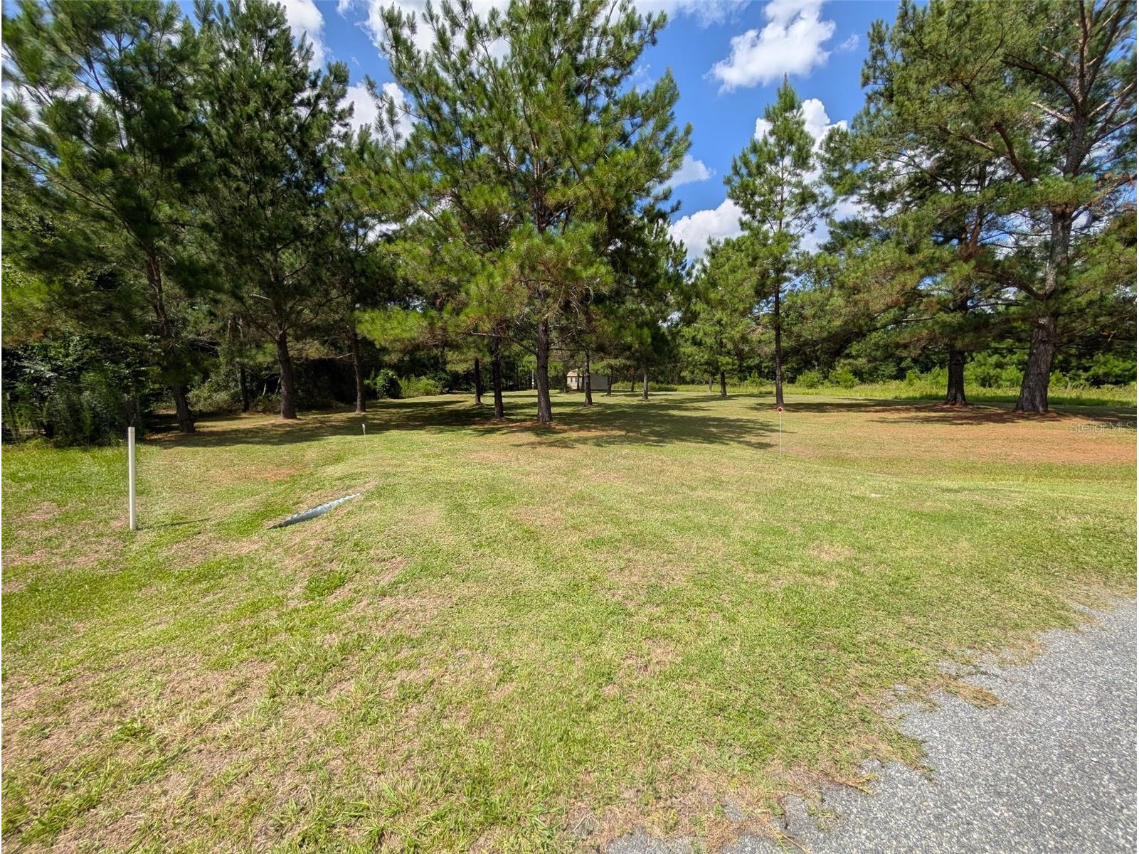 9535 NW 147th Terrace Lake Butler FL 32054 O6326833 image10