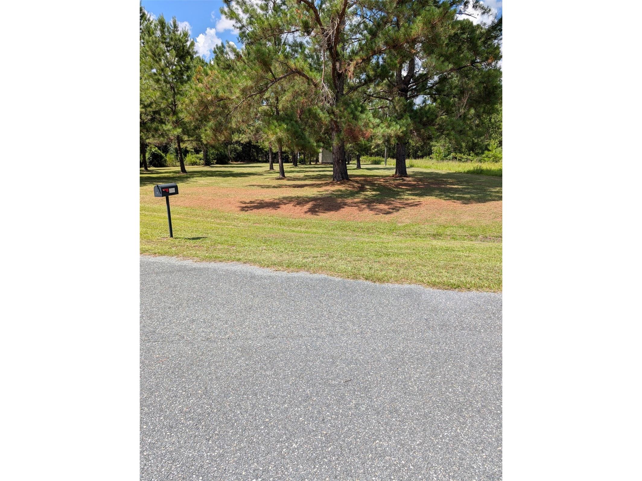 9535 NW 147th Terrace Lake Butler FL 32054 O6326833 image13