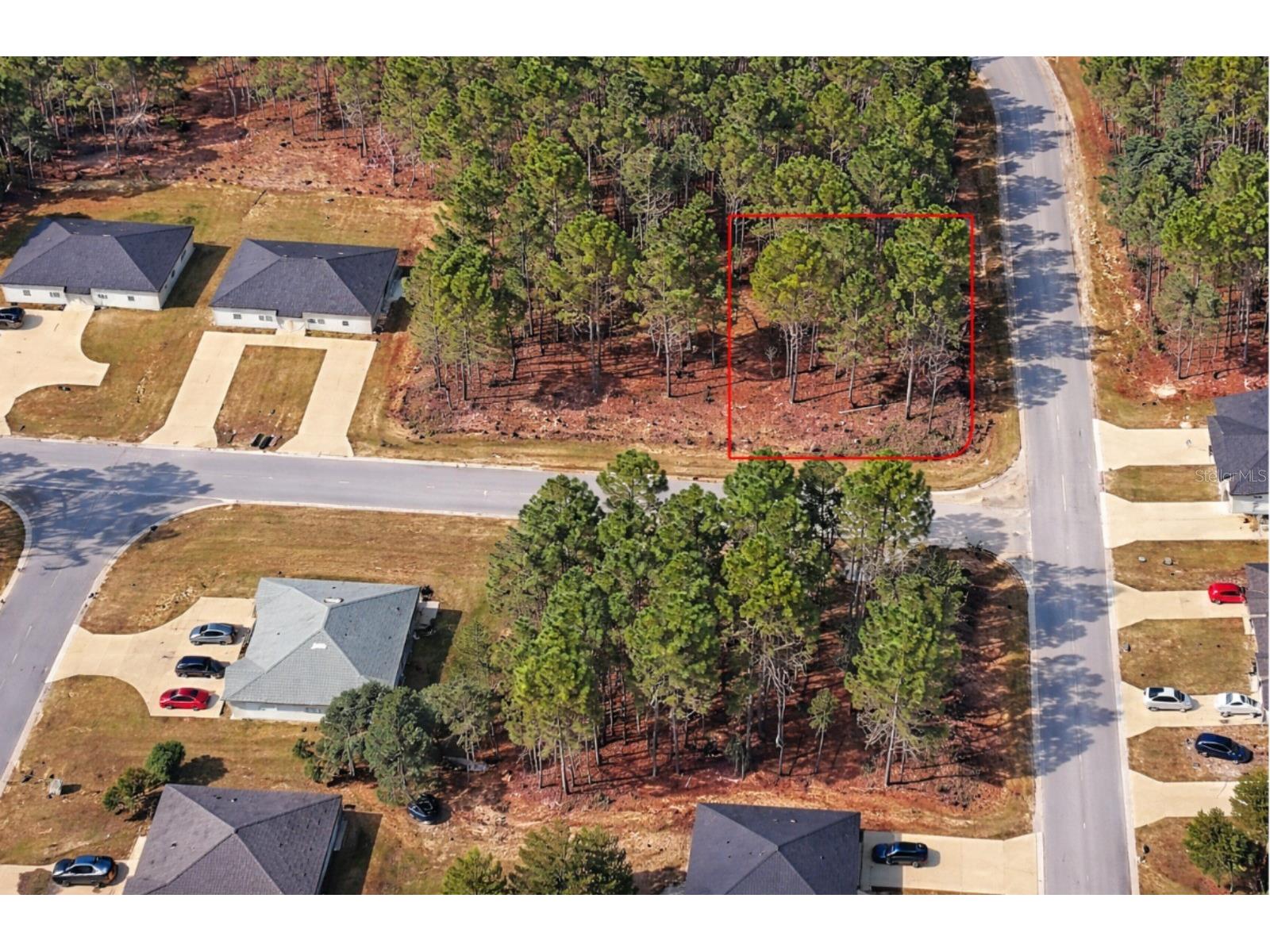9536 N Camel Drive Dunnellon FL 34434 O6395742 image1