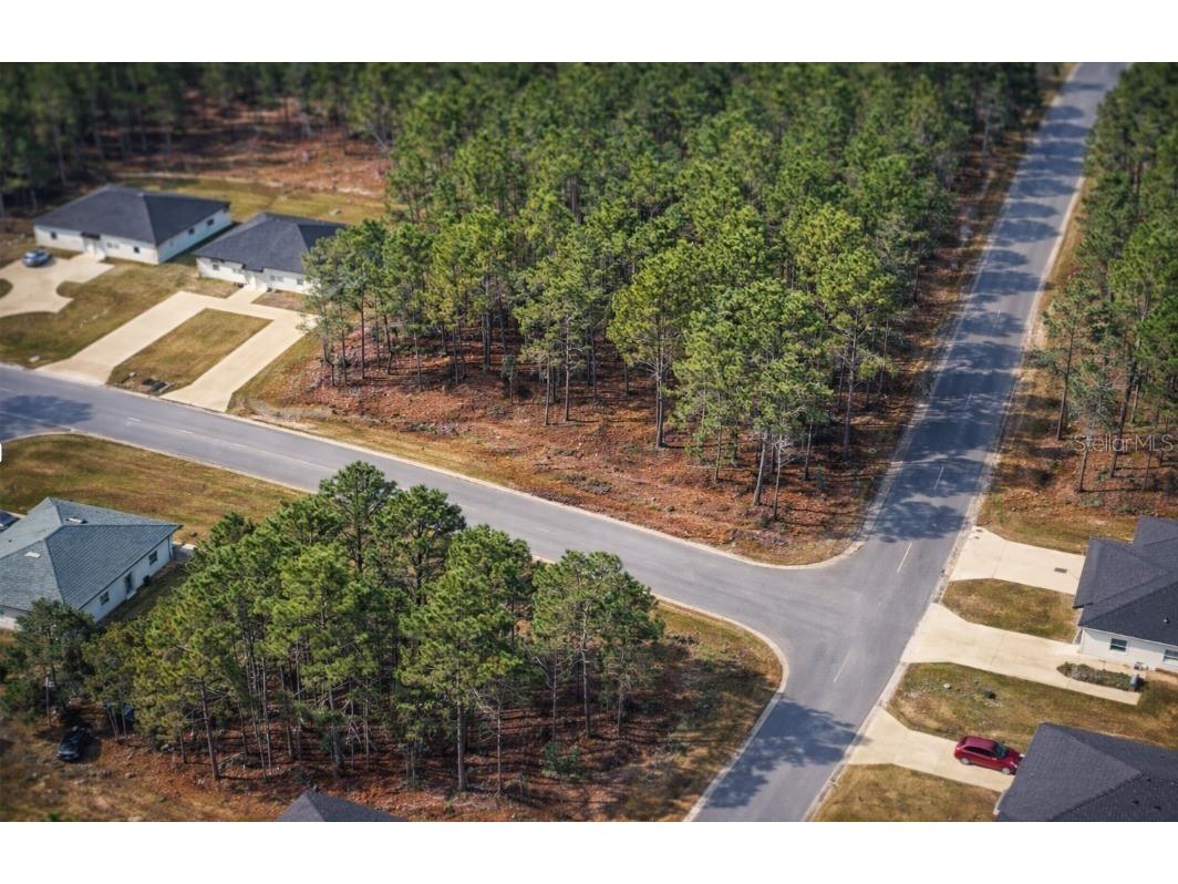 9536 N Camel Drive Dunnellon FL 34434 O6395742 image2