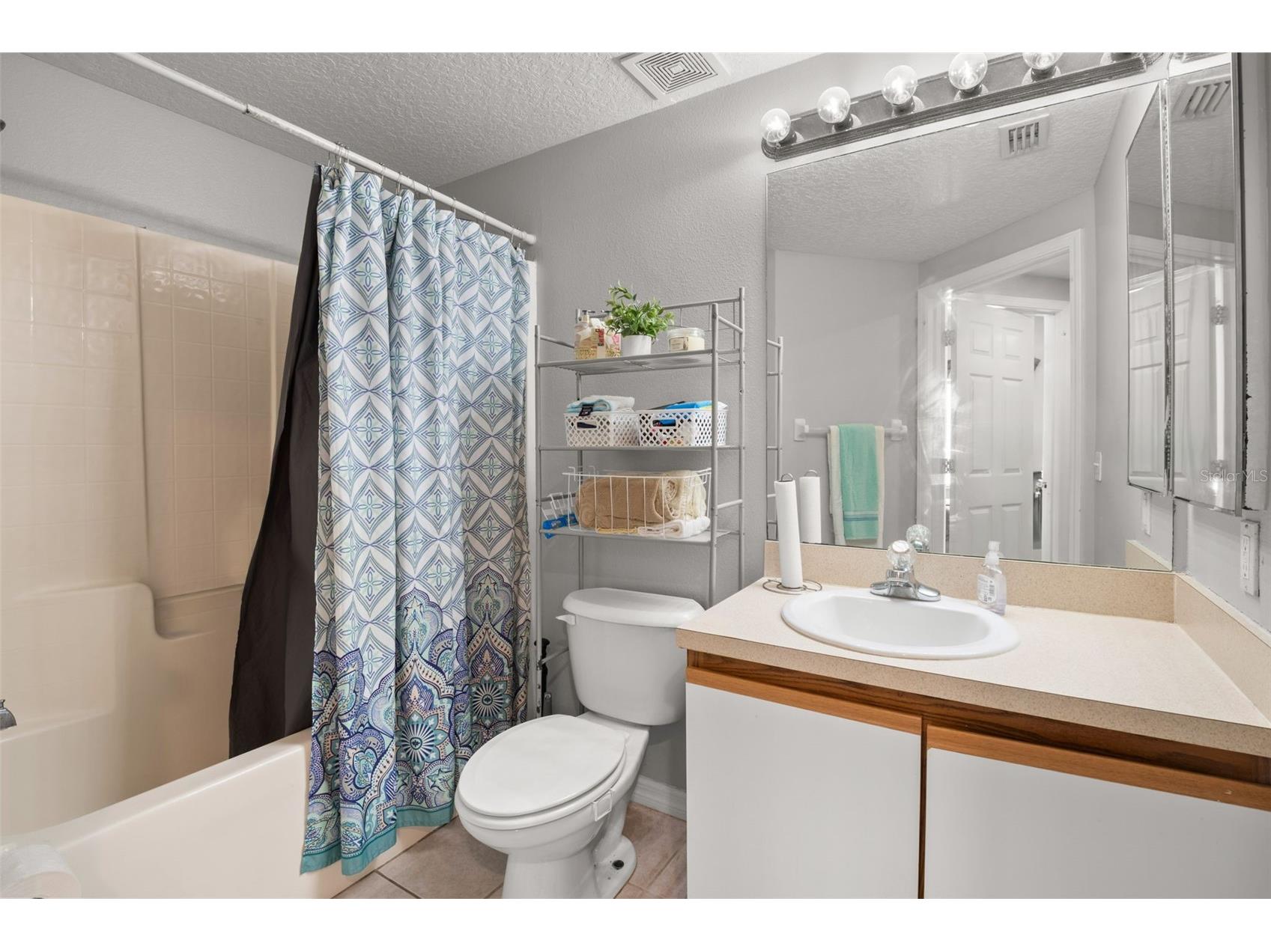 9536 Newdale Way #101 Riverview FL 33578 TB8477652 image21