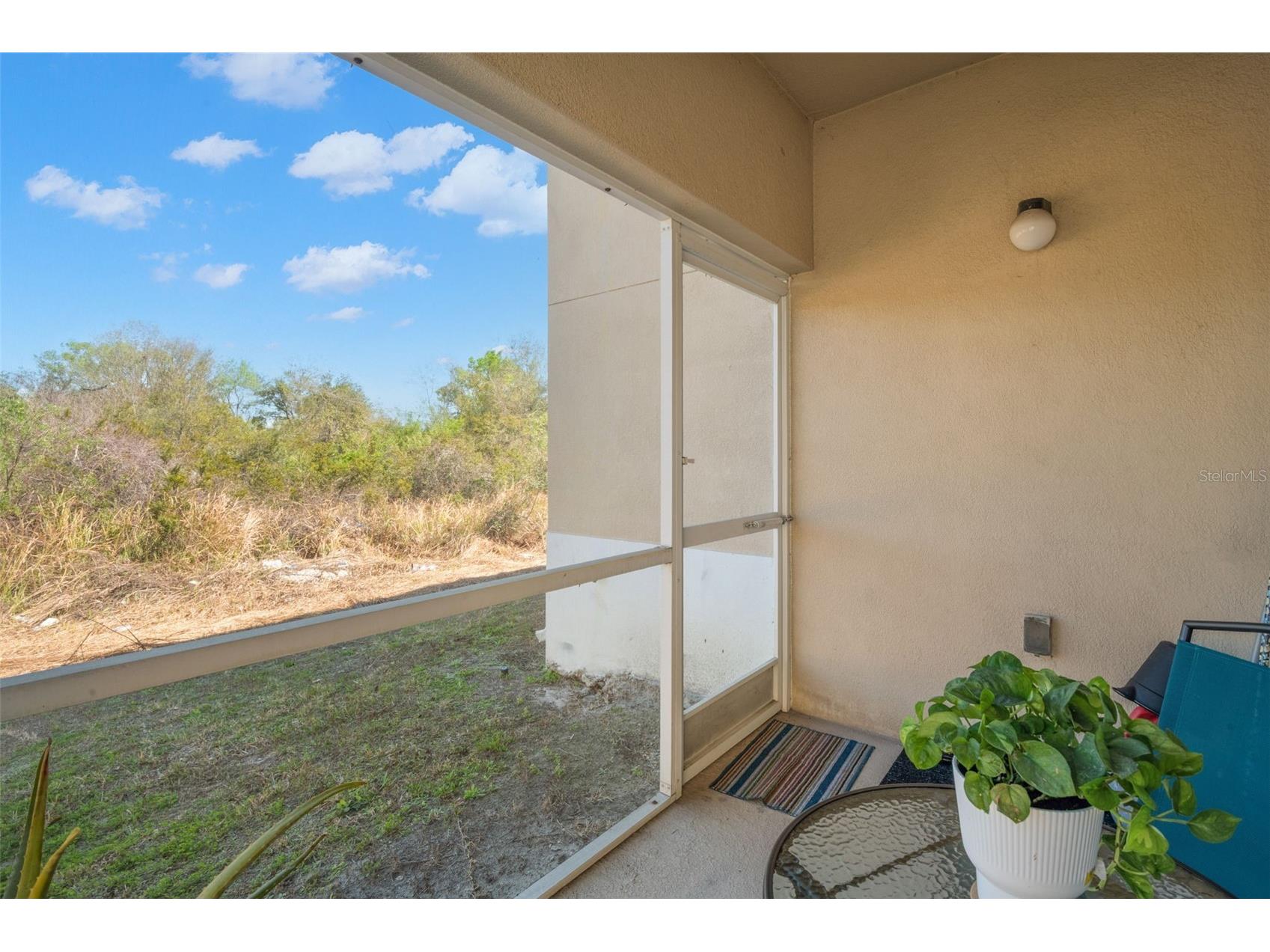 9536 Newdale Way #101 Riverview FL 33578 TB8477652 image24