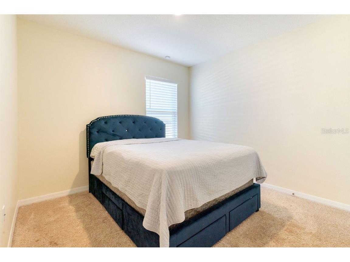 9537 Black Walnut Drive Clermont FL 34715 O6358257 image28