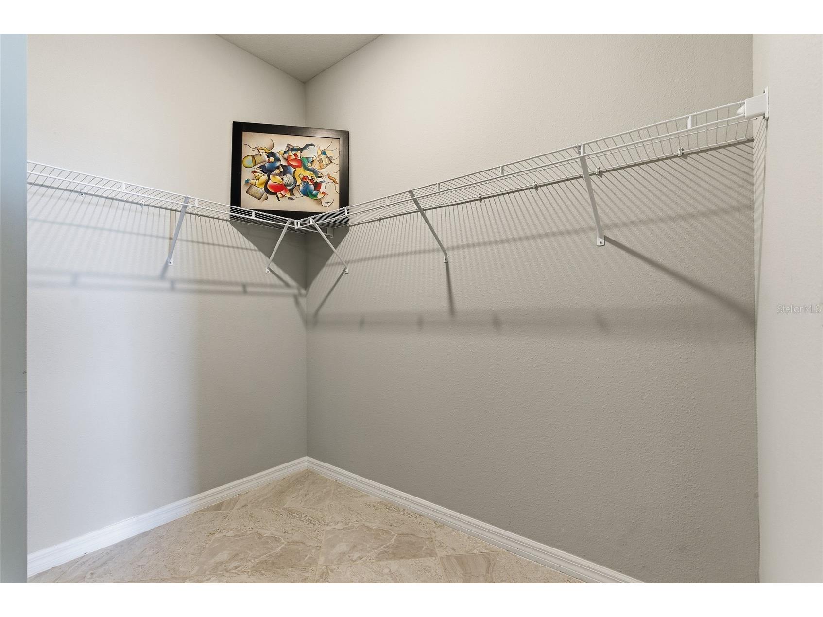 9539 Ibis Grove Boulevard Wesley Chapel FL 33545 TB8472033 image26