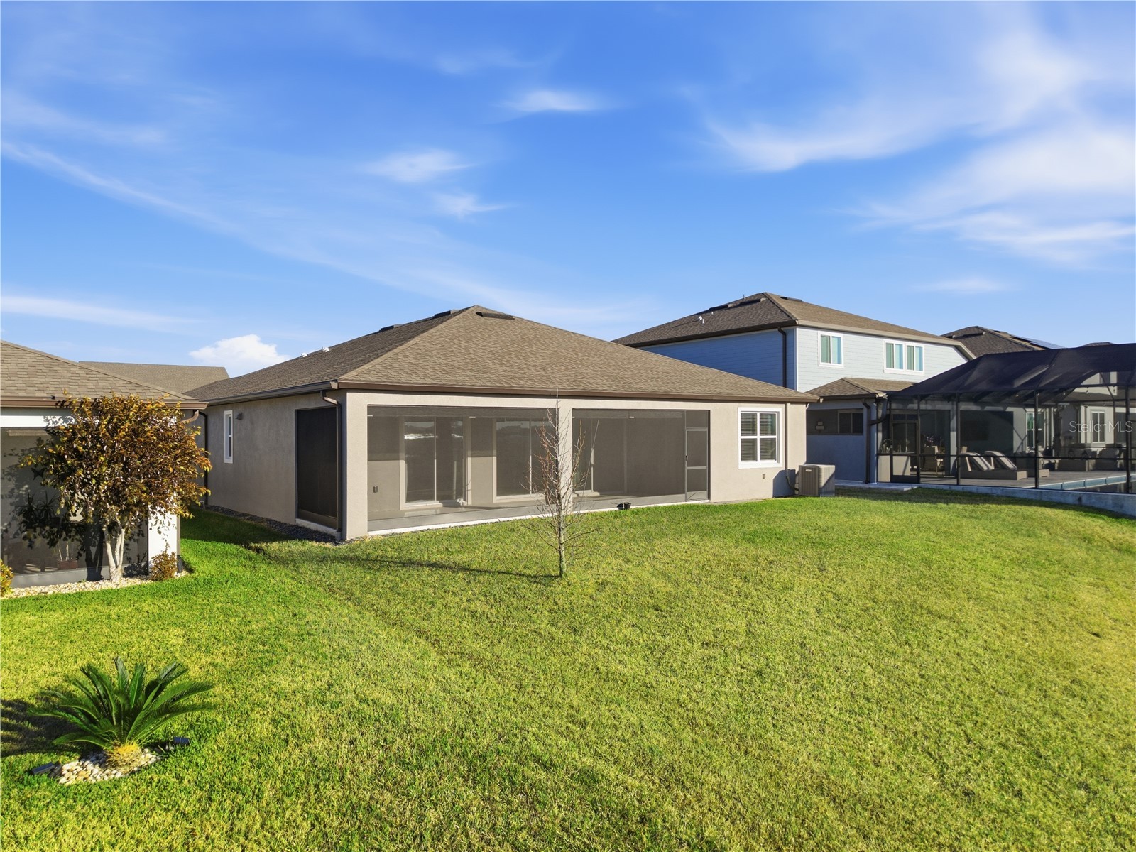 9539 Ibis Grove Boulevard Wesley Chapel FL 33545 TB8472033 image38