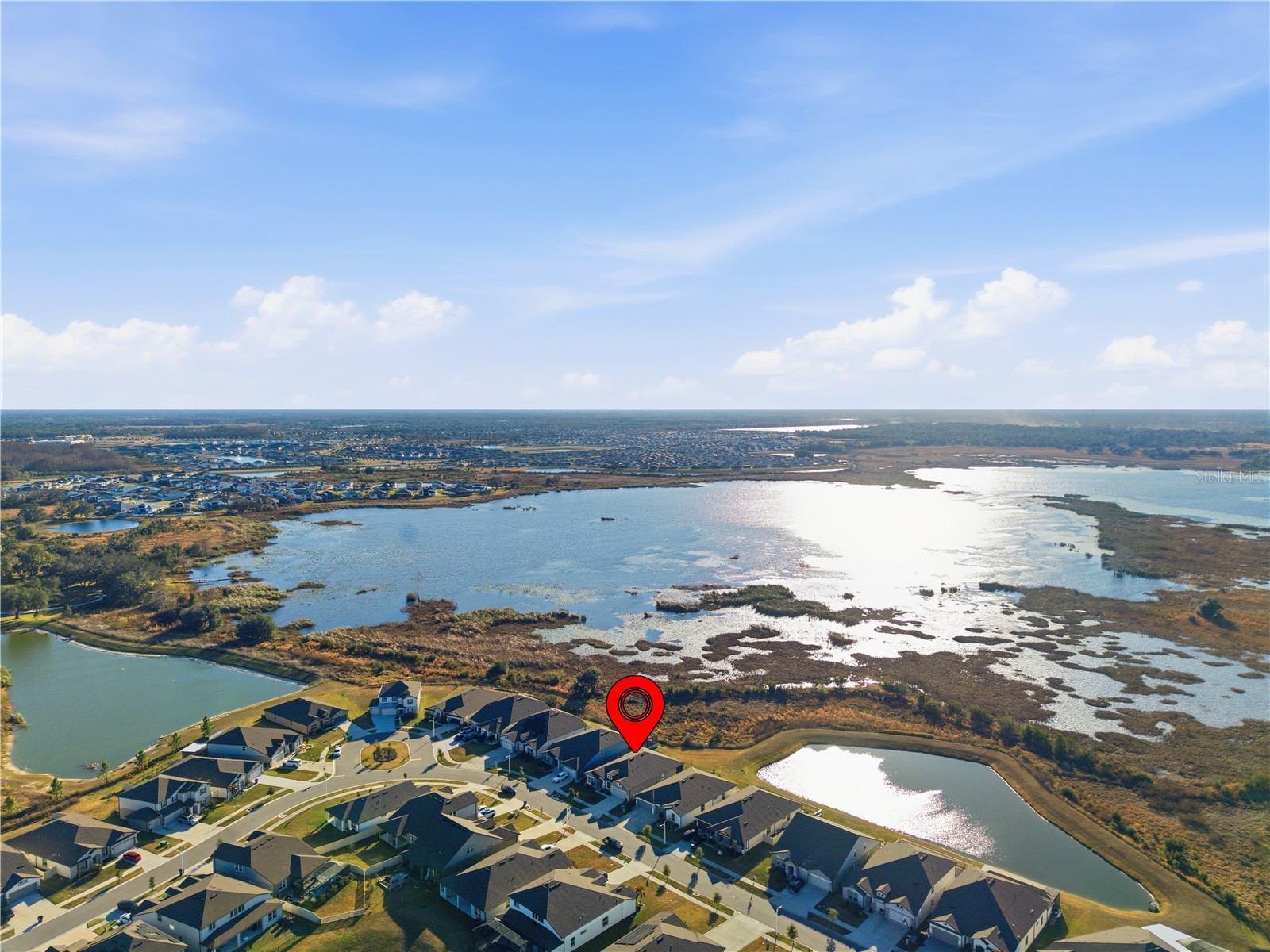 9539 Ibis Grove Boulevard Wesley Chapel FL 33545 TB8472033 image43