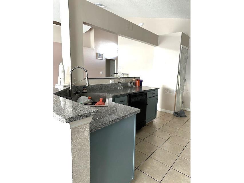 954 Durango Loop Street Davenport FL 33897 O6377219 image4