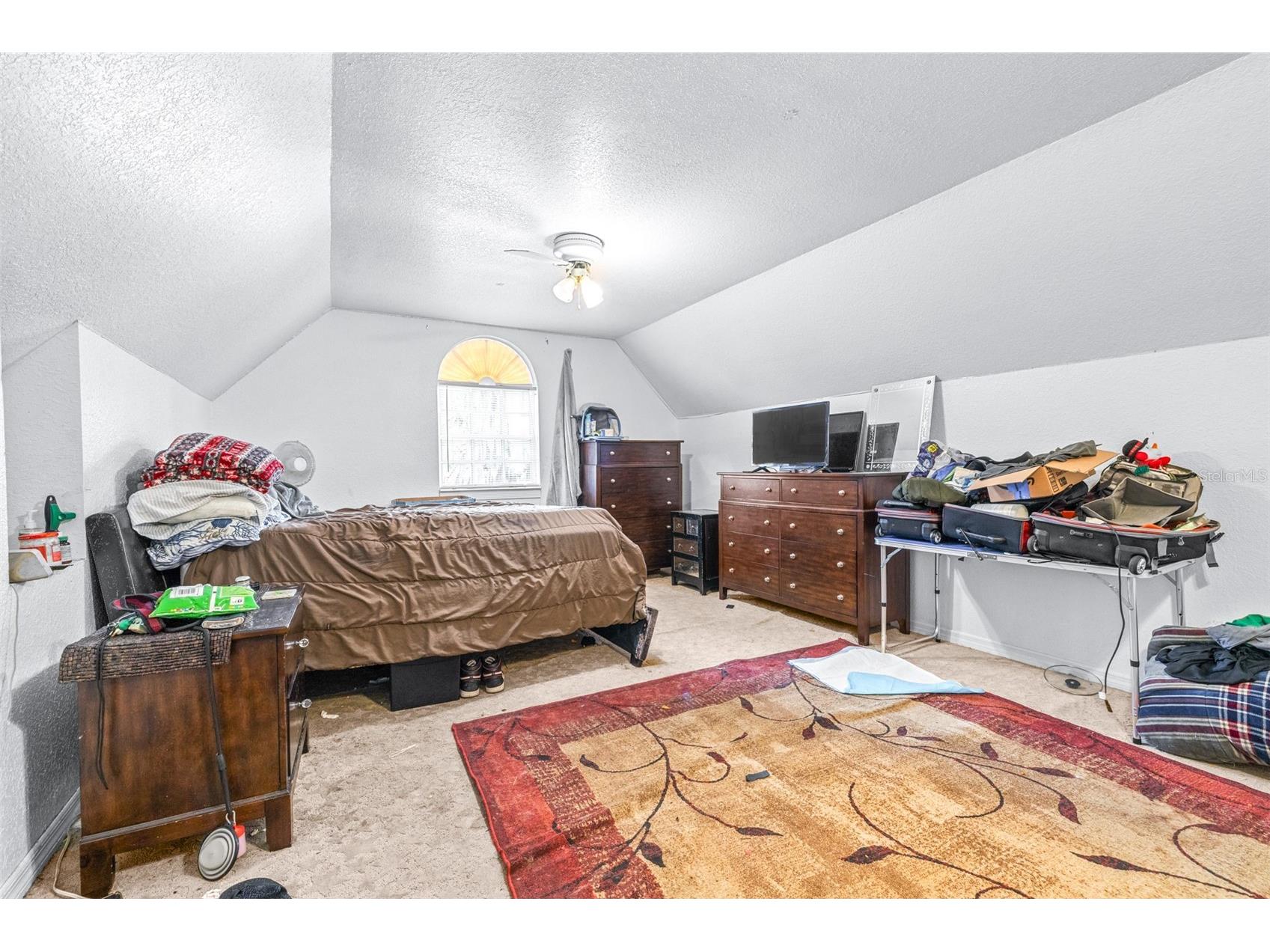 954 Odoniel Drive Lakeland FL 33809 P4938488 image16