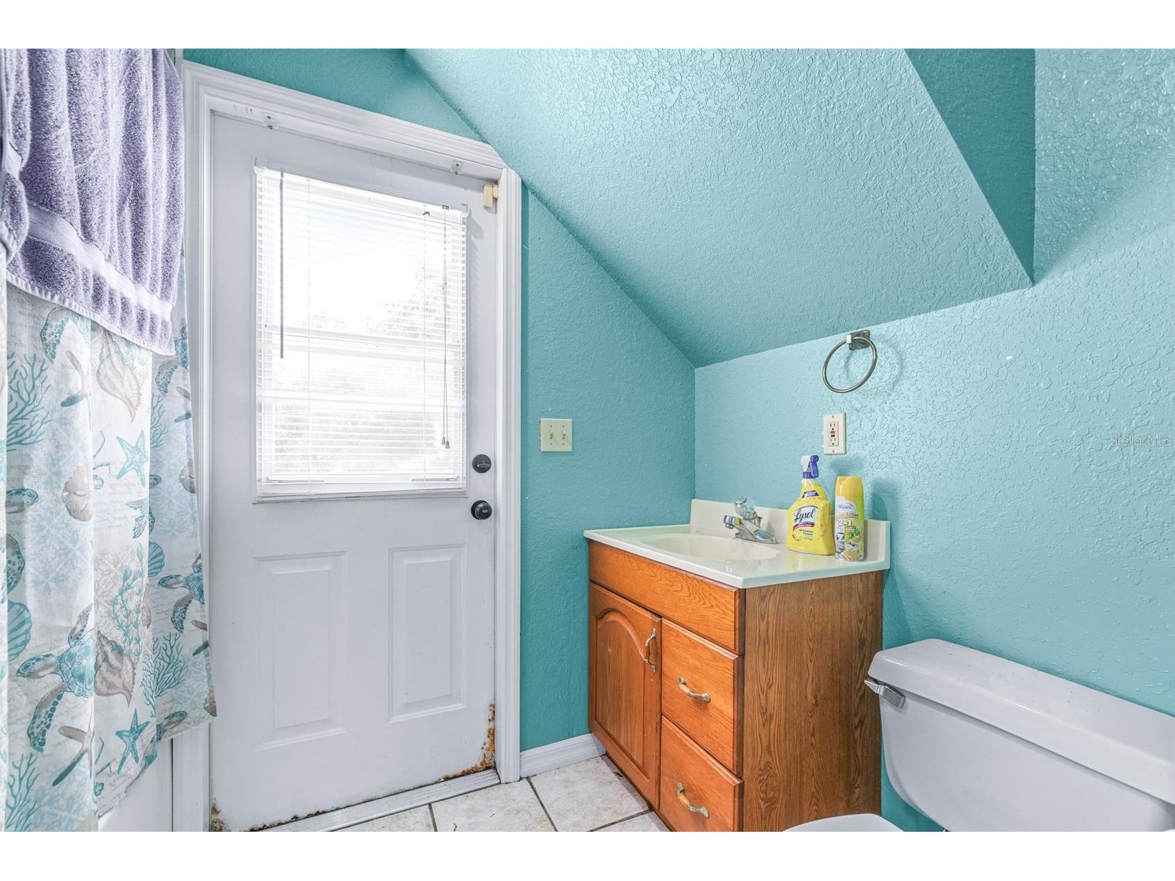 954 Odoniel Drive Lakeland FL 33809 P4938488 image17