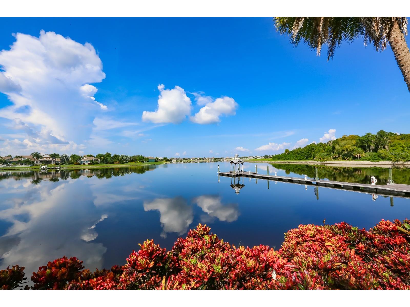 954 Signet Drive Apollo Beach FL 33572 TB8502097 image53