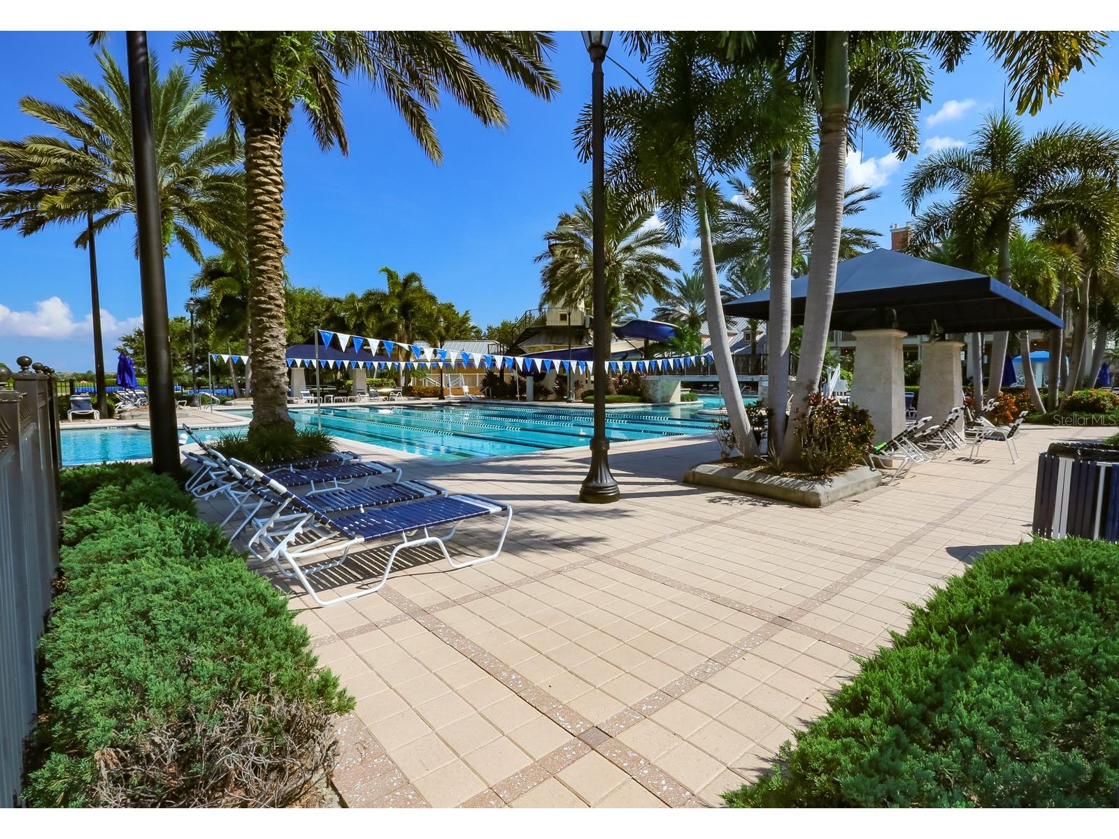 954 Signet Drive Apollo Beach FL 33572 TB8502097 image55