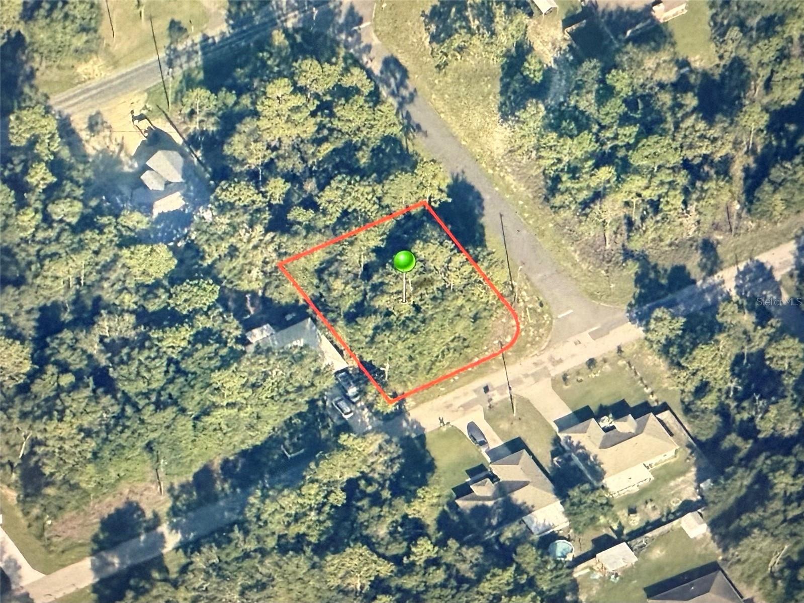 9540 N Pineview Way Citrus Springs FL 34434 OM716607 image2